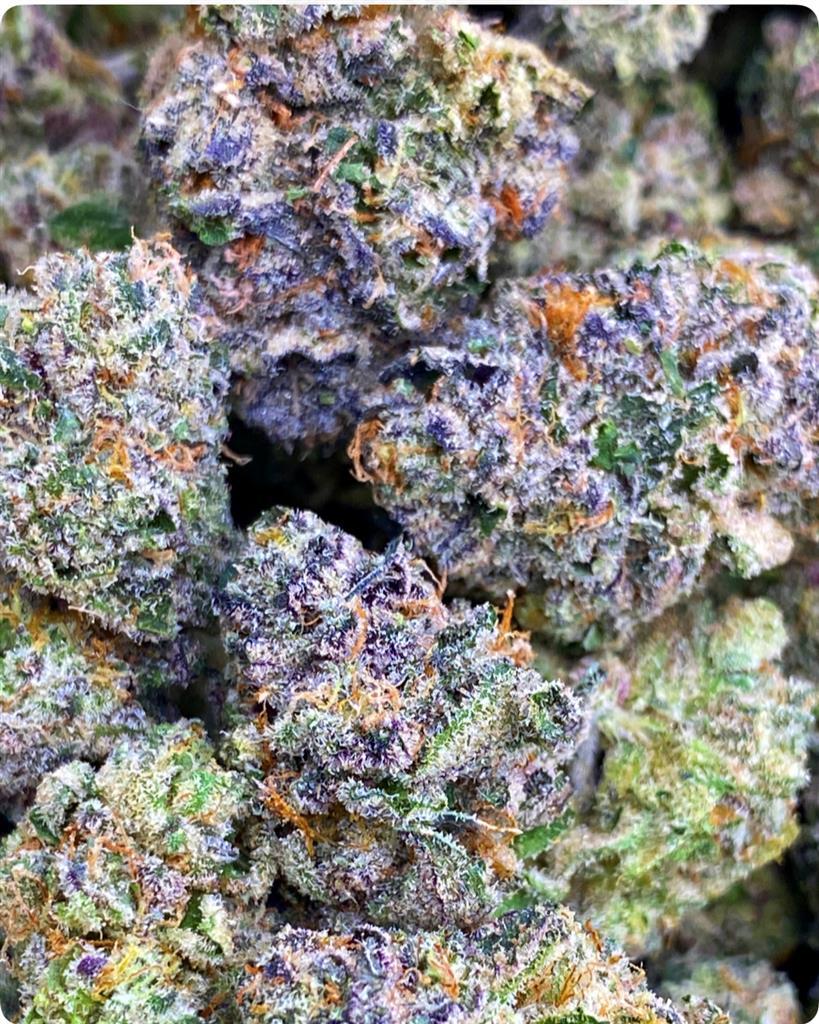 TROPICAL Z-POWER: 35.