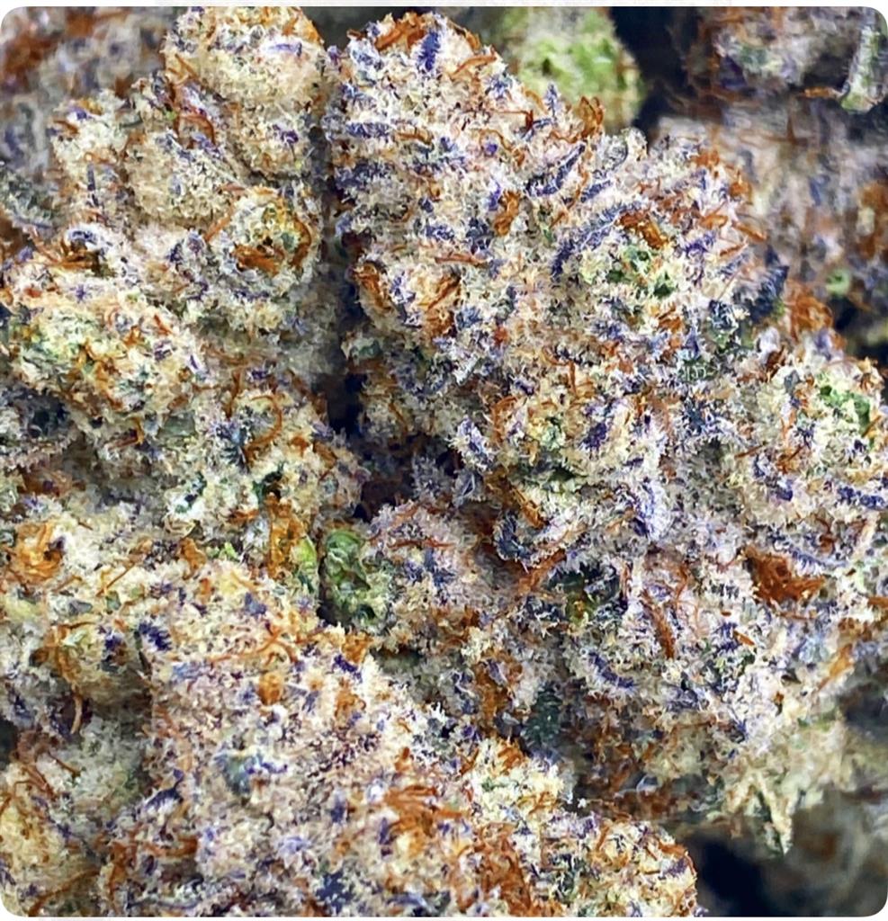 GORILLA GLUE × MANDARIN COOKIES