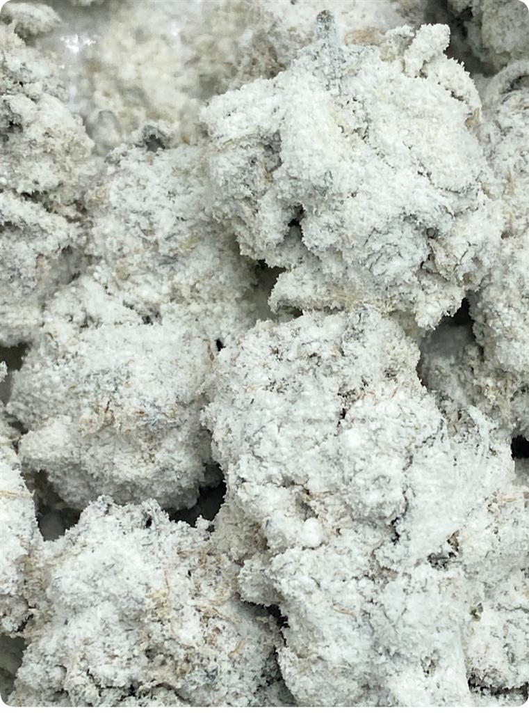 ICE CREAM WINTER KIZZ