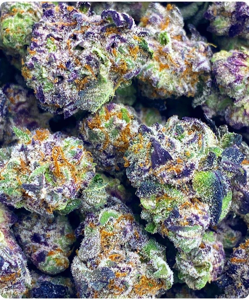 ZOASTY MICRO: 41.227%