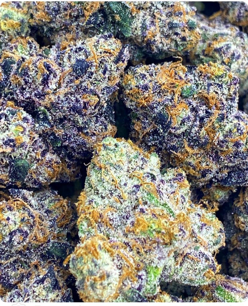 WHITE IVERSON FLOWER