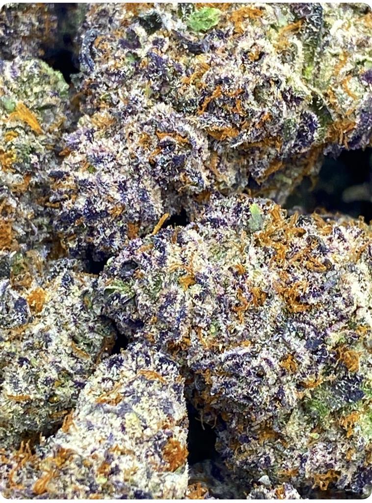 BLACK CHERRY BLIZZARD