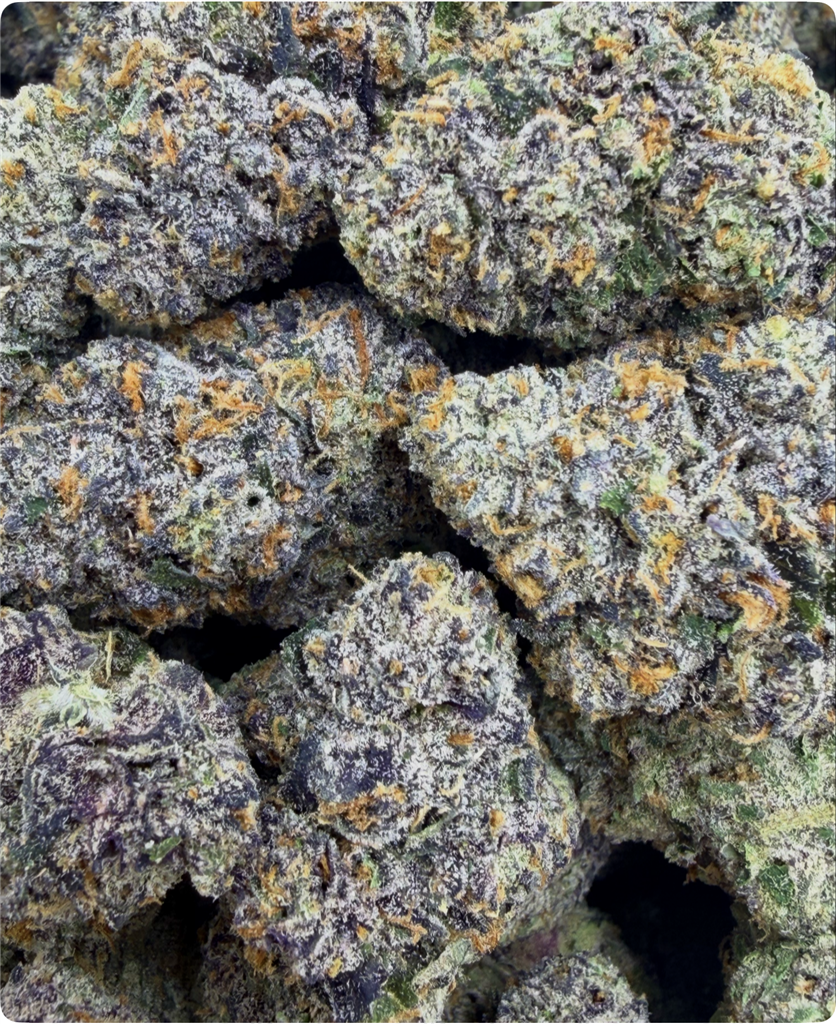 SUNSET SHERBET X G.D.P COOKIES: 39.03%REDAC