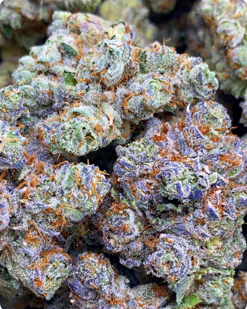 BLUEBERRY HASH PLANT: 36.28%