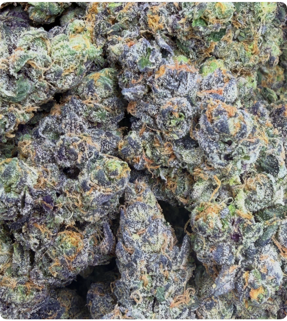 PURPLE SNACKZ: 38.73%