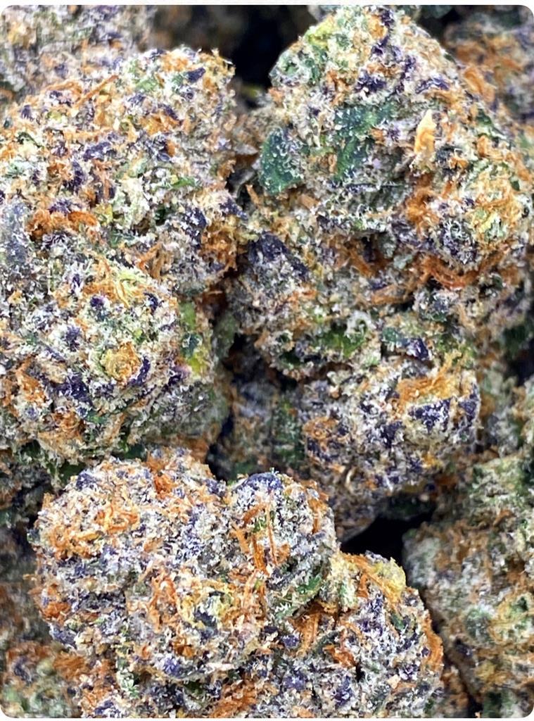 OBAMA RUNTZ X COOCHIE