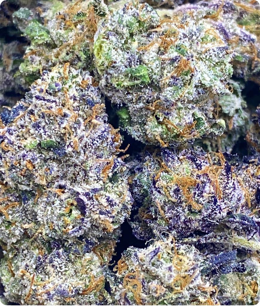 THINMINT COOKIES X SUPER RUNTZ: 32.81%