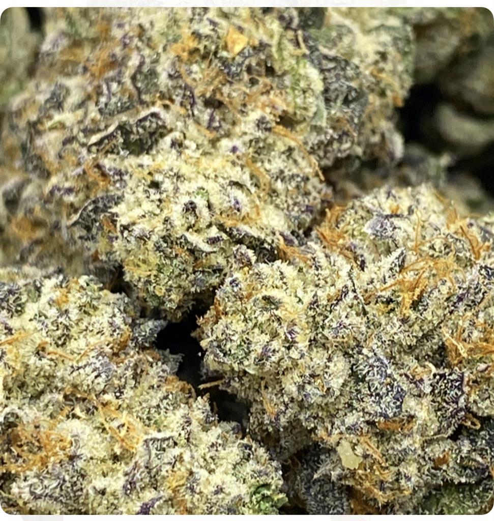 GRAPE DO-SI-DOS: 37.15%