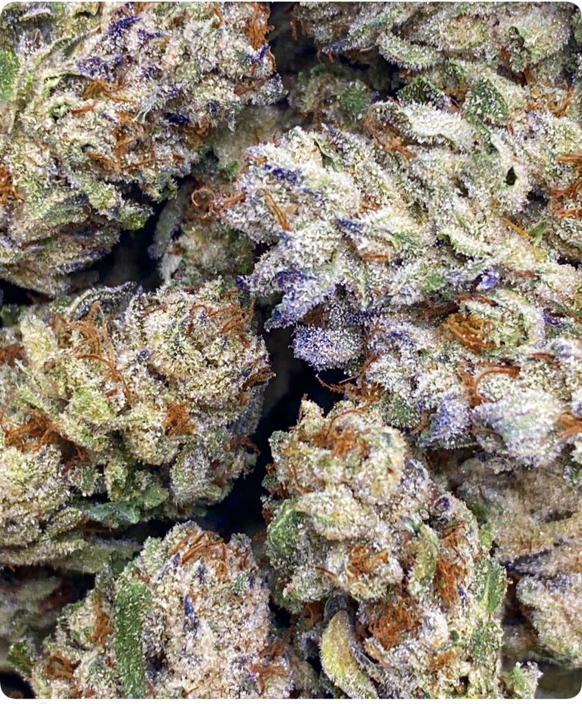CHEM COOKIES: 29.23%