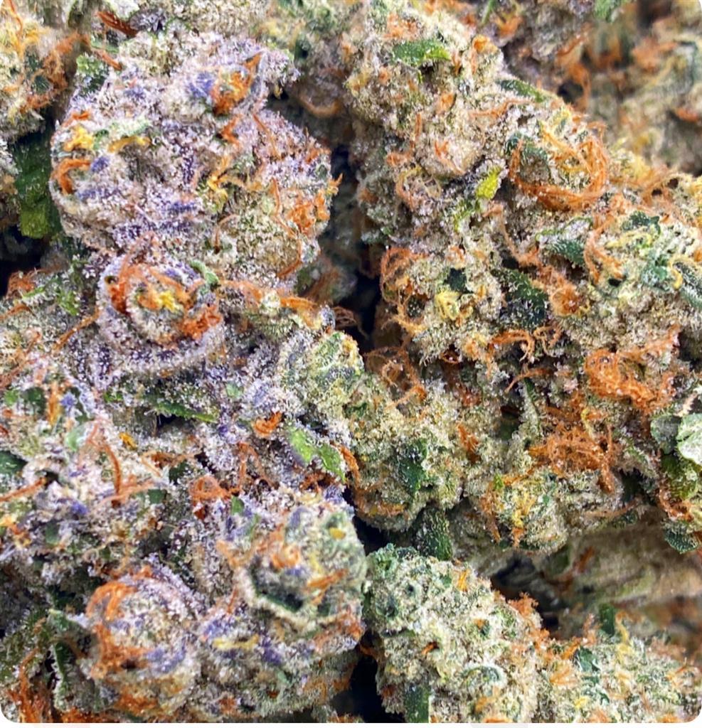 BLUEBERRY ZITTLEZ: 41