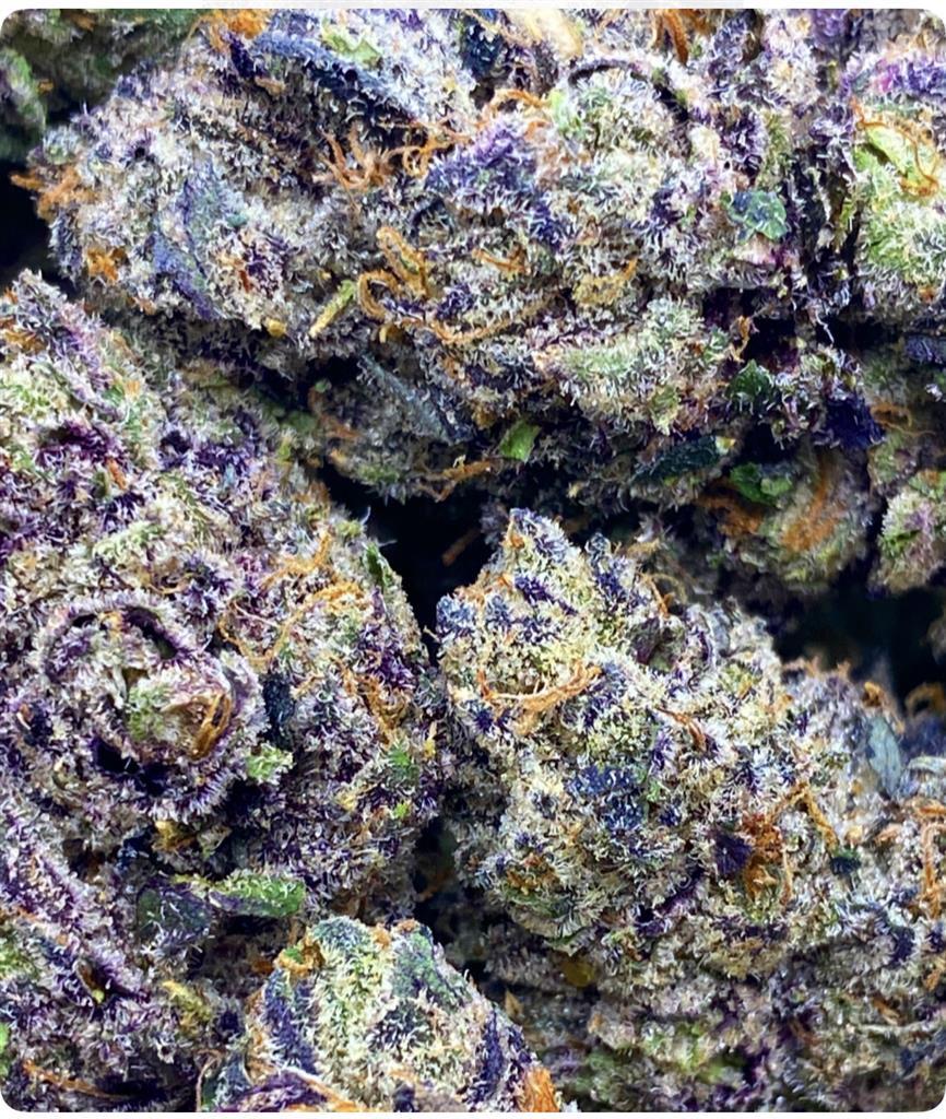 GRANDDADDY SHERBET: 35.27%