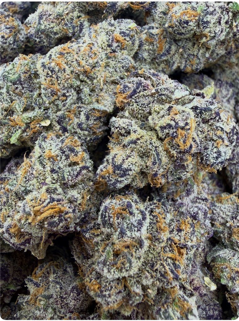 GARANIMALS X DJ SHORT BLUEBERRY KUSH: 39.33%
