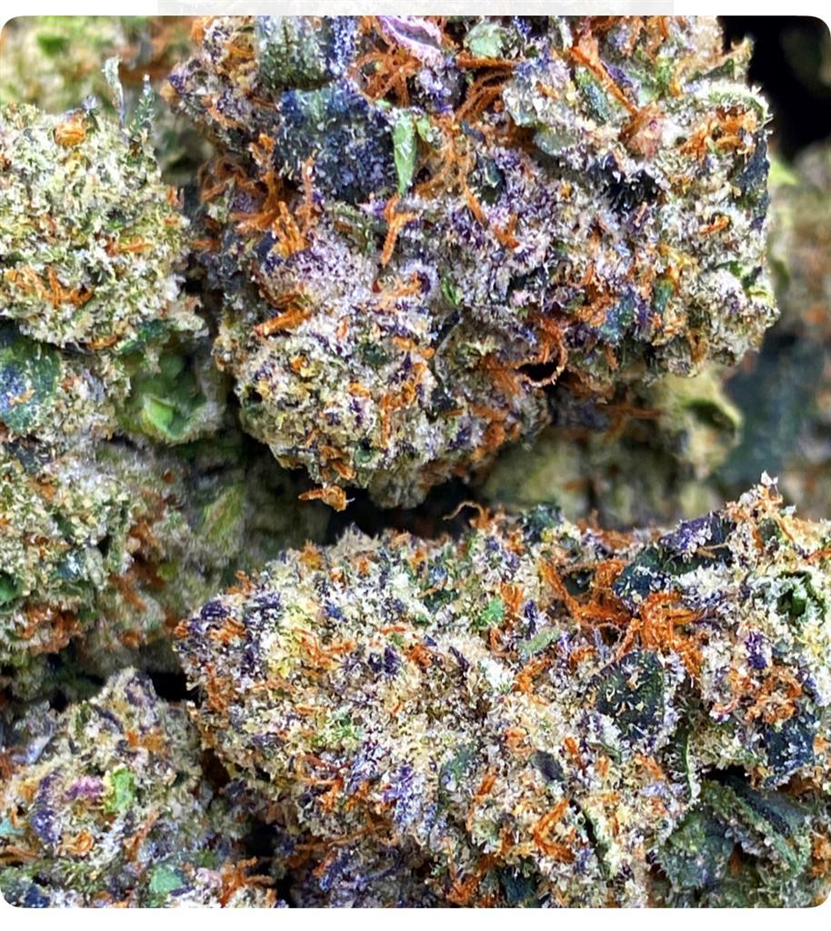 SHARPIEZZZ BIGS 42.34