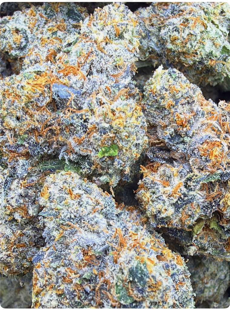 FAMOUS COOKIE GLUE: 37.32%