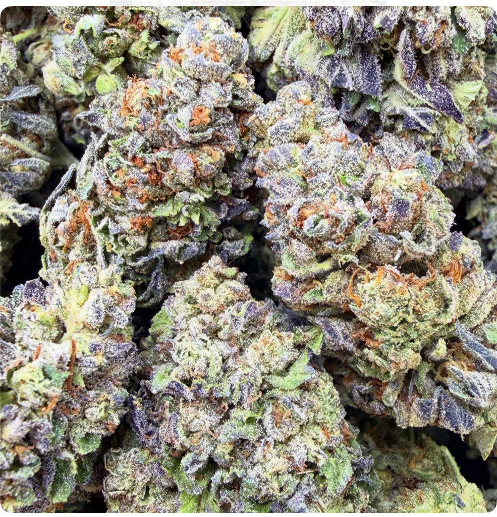 SHISHKABERRY: 24.38%