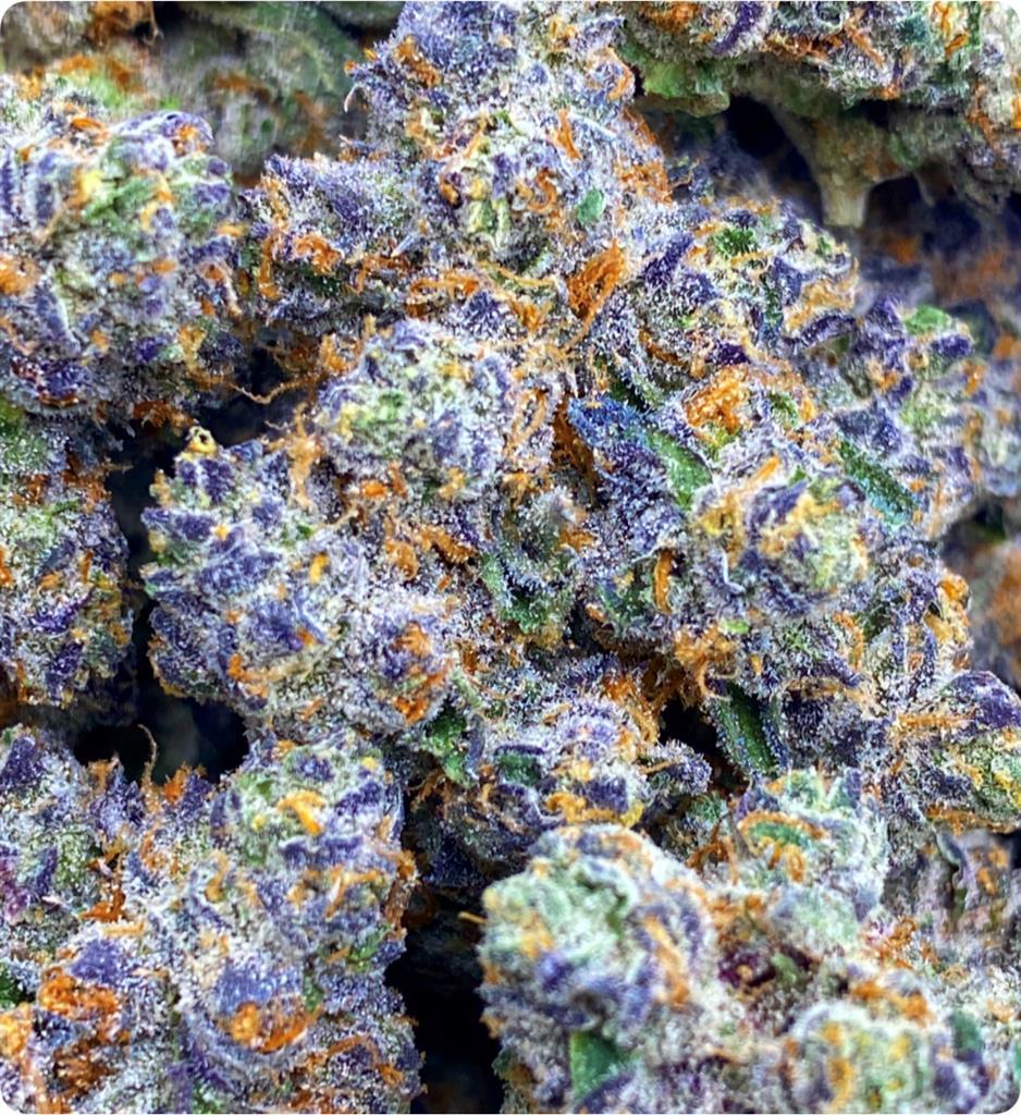 APPLE FRITTER: 34.83%