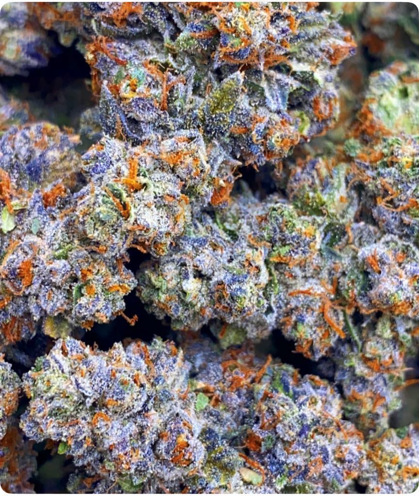 BLUEBERRY OG X WHITE 