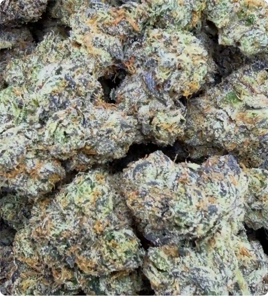 CHERRY COOKIES: 39.72%
