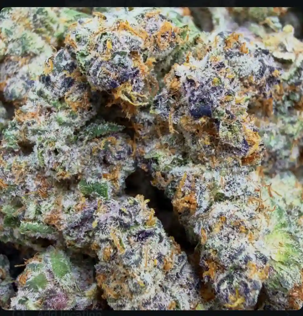 TROPICAN FRUIT BURST: 36.09%