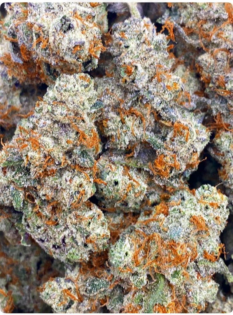 BERRRY GUAVA: 38.23%