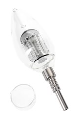 TREE PERC NECTAR COLL