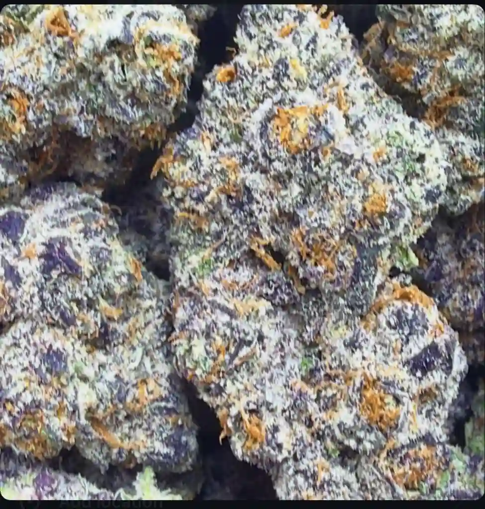 PURPLE RAIN: 38%