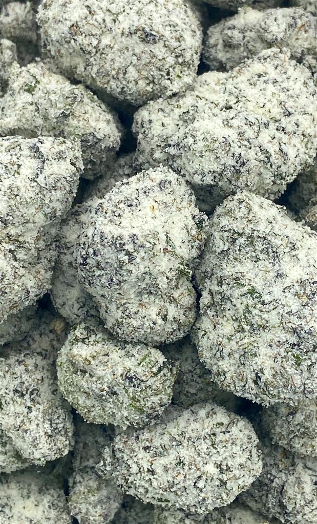 ARCTIC PLUMBE  82.54%