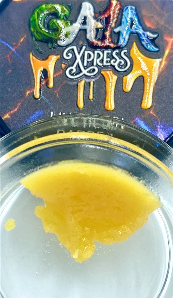 SATORI BADDER 75.12%