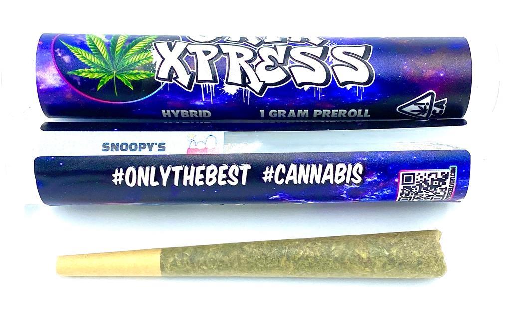 SNOOPY’S PRERROLL 25.