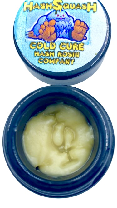 GMO X GUSHMINTS COLD 