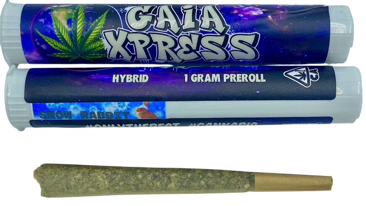 SNOW RABBIT PREROLL: