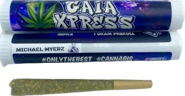 MICHAEL MYERZ PREROLL