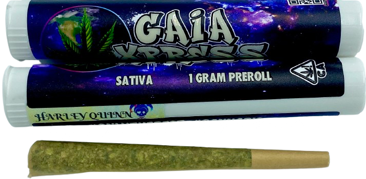 HARLEY QUINN PREROLL
