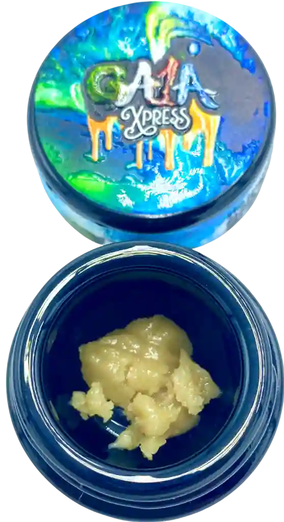 GMO POP 79.86