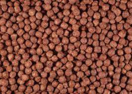 CHOCOLATE DOOBIE DOTS