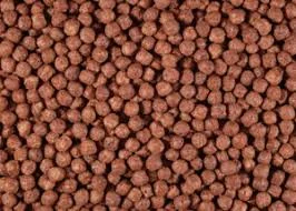 CHOCOLATE DOOBIE DOTS 1000MG