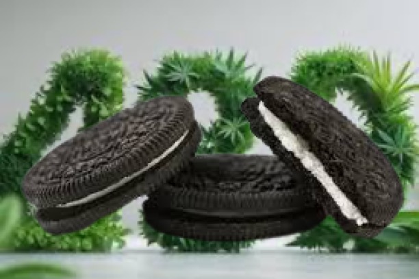 420 CREAM CRUNCH 600M