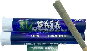 SHAMROCK XPRESS 26.45