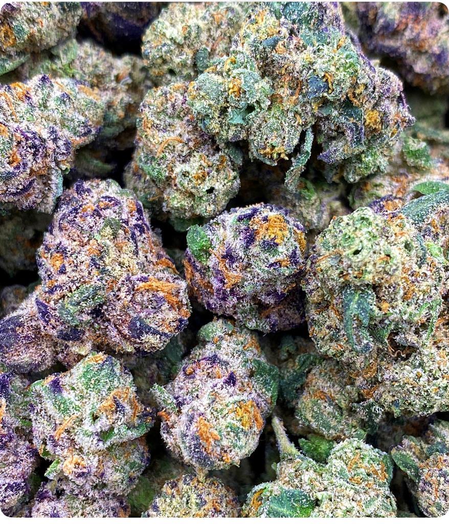 BLUE LOBSTER SMALLS: 