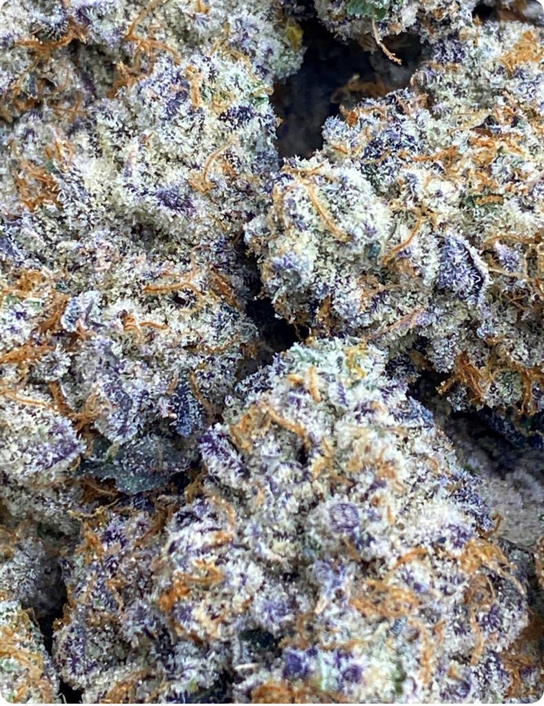 WHITE DOSIDOS: 39.26%