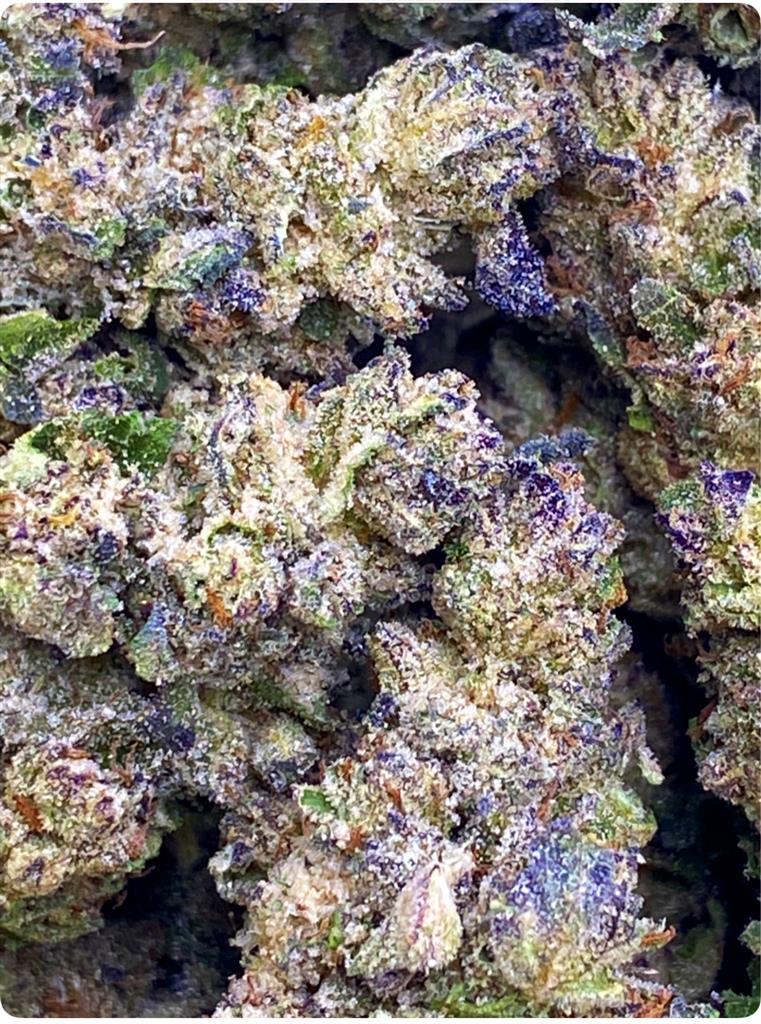 BUBBLEGUM HORCHATA: 2