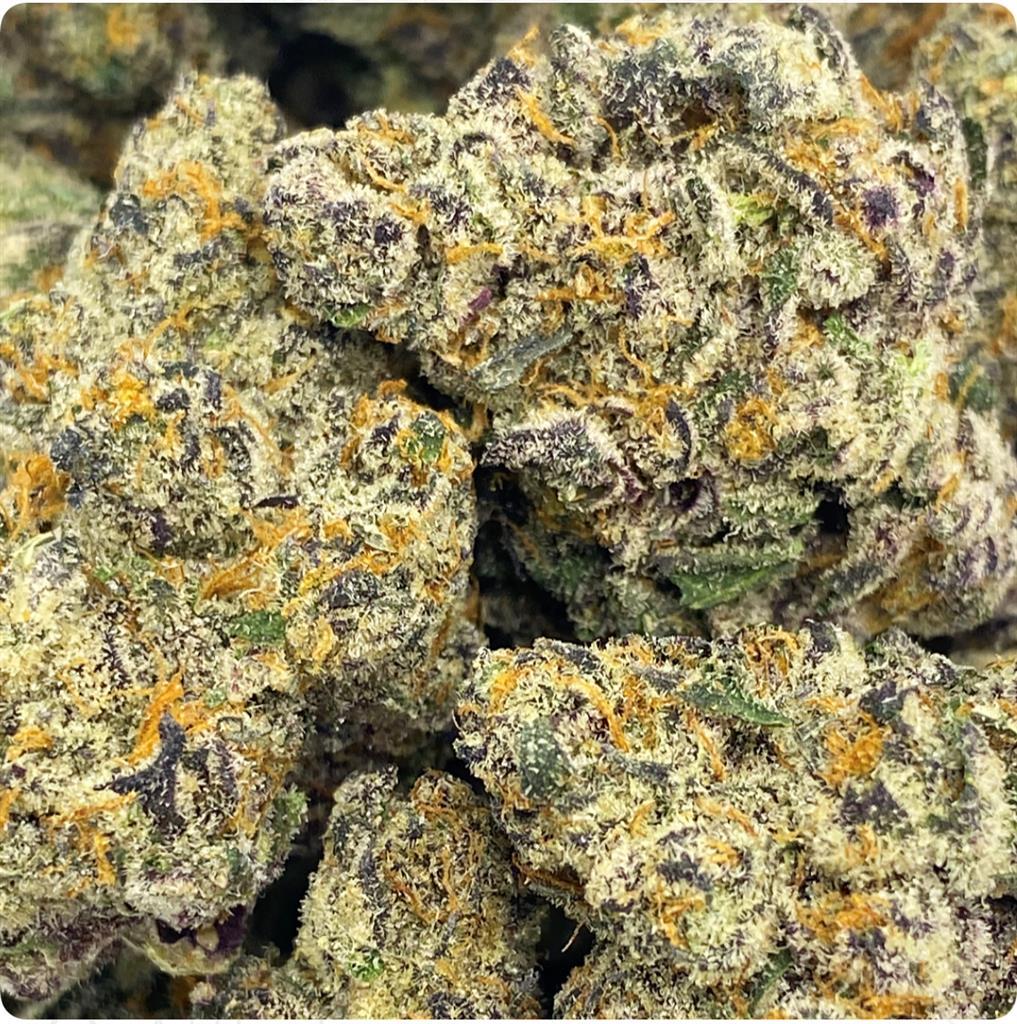 DIRTY LITTLE SEC. 32%