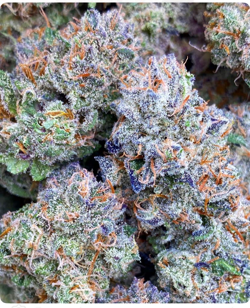 BLUE FANTA Z: 39.23%