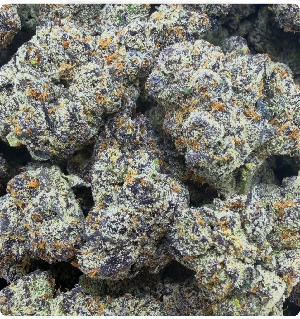 BLACK BUBBLEGUM: 36.12%