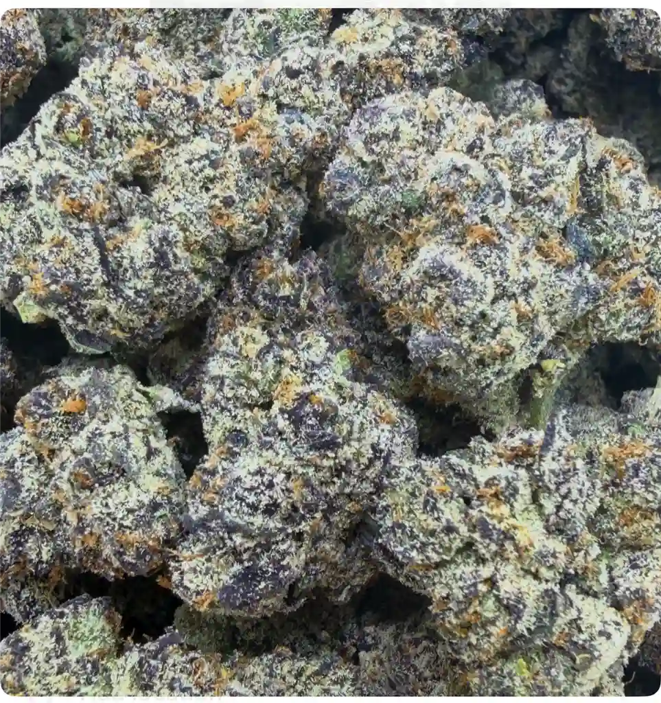 BLACK BUBBLEGUM: 36.12%