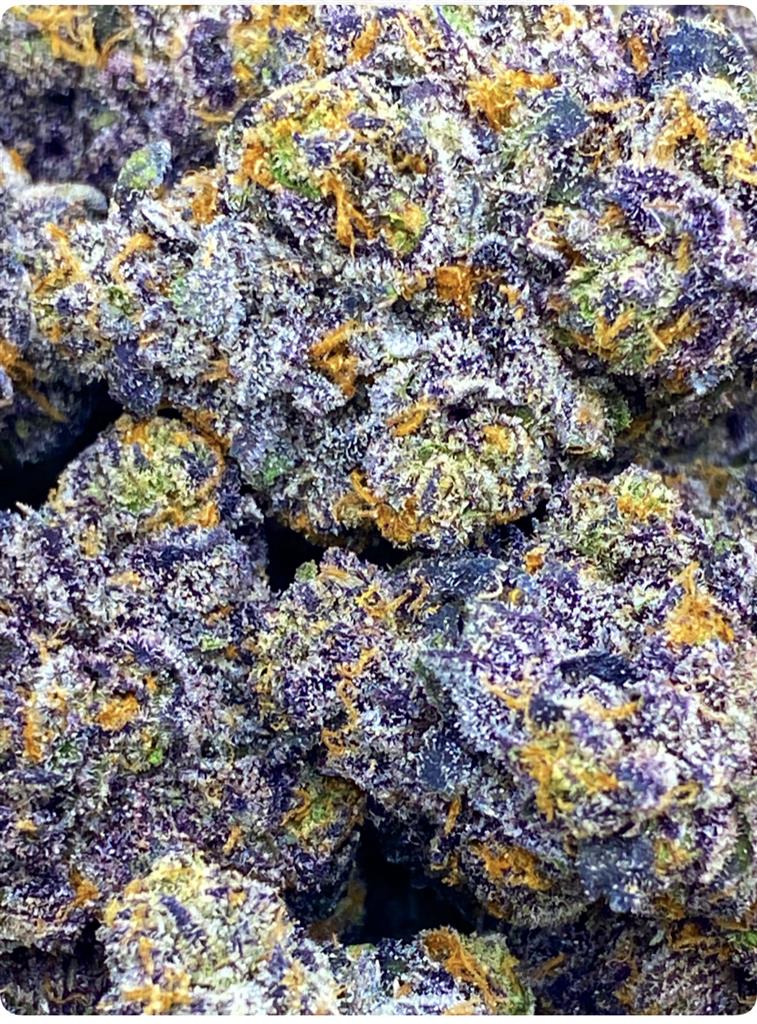 THE PURPLE MANIC: 39.25%