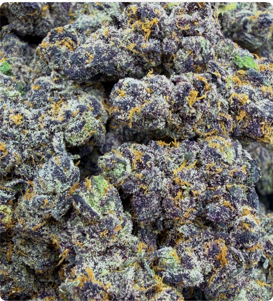 BEN AND BERRIES X JEALOUSY: 40.52%