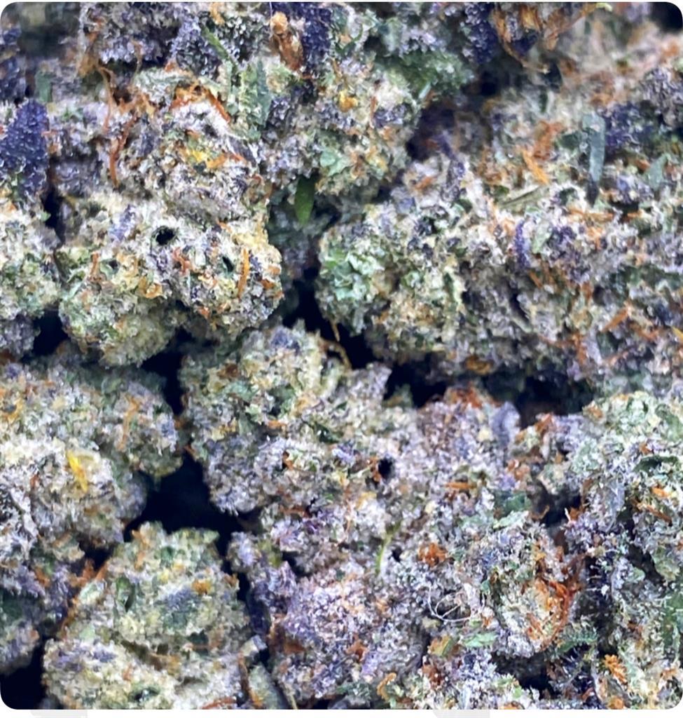 RED VELVET GARY: 33.8