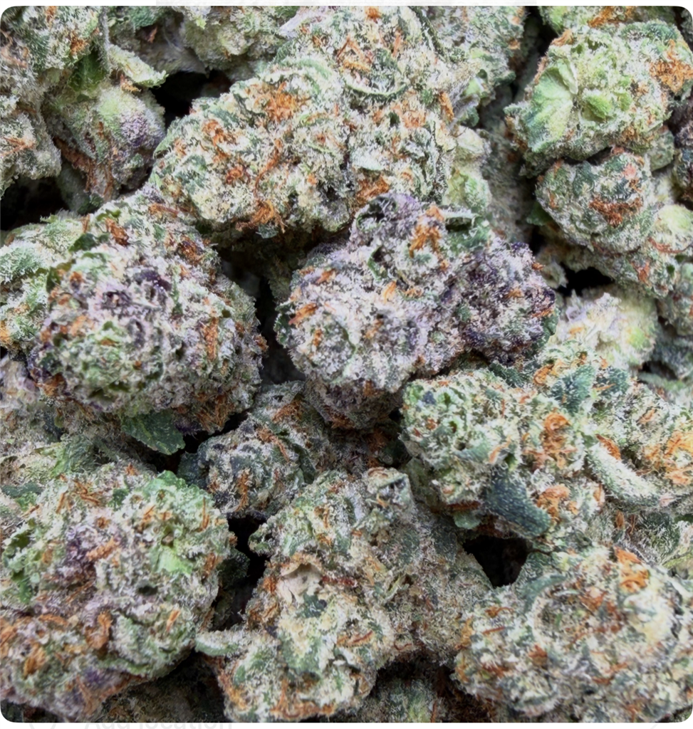 CONNOISSEUR CANDY: 31.42% INDOOR SMALLS IN FRONT 