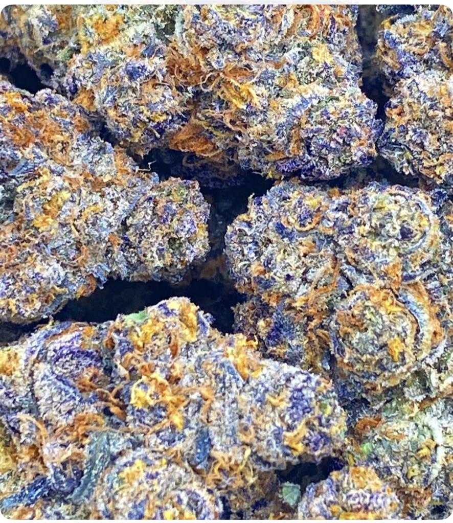 BAY AREA BLUE COOKIES: 35.61%